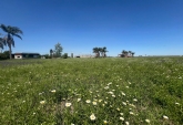 Terrenos - Carcaraa - Venta