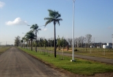 Terrenos - Roldan - Venta