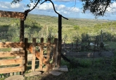Campos - Otra Ciudad - Venta