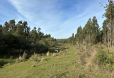 Campos - Otra Ciudad - Venta