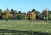 Terrenos - Roldan - Venta
