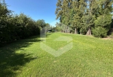 Terrenos - Roldan - Venta