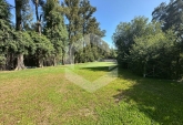 Terrenos - Roldan - Venta