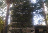 Departamentos - Rosario -  Alquiler