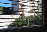 Departamentos - Rosario -  Alquiler