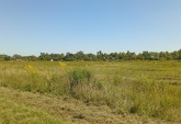 Terrenos - Villa Amelia - Venta