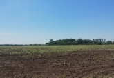 Terrenos - Villa Amelia - Venta