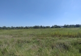 Terrenos - Villa Amelia - Venta