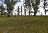 Casas - Iriondo - Venta