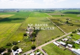 Terrenos - Alvear - Venta