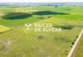 Terrenos - Alvear - Venta