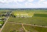 Terrenos - Alvear - Venta