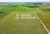 Terrenos - Alvear - Venta
