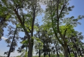 Terrenos - Rosario - Venta