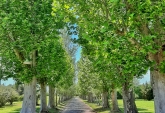 Terrenos - Rosario - Venta