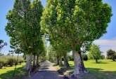 Terrenos - Rosario - Venta