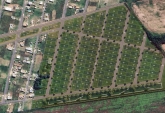 Terrenos - Villa Amelia - Venta