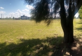 Terrenos - Roldan - Venta