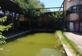 Locales - Roldan - Venta