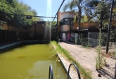 Locales - Roldan - Venta