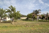Terrenos - Andino - Venta