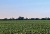 Campos - Rosario De Tala ,est.tala - Venta