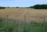 Campos - Rosario De Tala ,est.tala - Venta