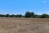 Campos - Rosario De Tala ,est.tala - Venta