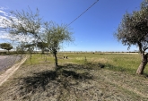Terrenos - Aldao - Venta