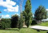 Terrenos - Funes - Venta