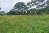 Terrenos - Melincue - Venta