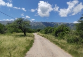 Terrenos - Otra Ciudad - Venta