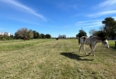 Campos - San Lorenzo - Venta
