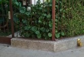 Departamentos - Rosario -  Alquiler