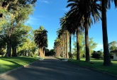 Terrenos - Funes - Venta