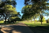Terrenos - Funes - Venta