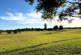 Terrenos - Funes - Venta