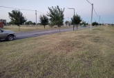 Terrenos - Alvear - Venta