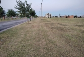 Terrenos - Alvear - Venta