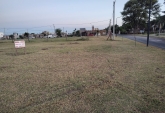 Terrenos - Alvear - Venta
