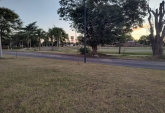 Terrenos - Alvear - Venta