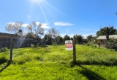 Terrenos - Andino - Venta