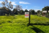 Terrenos - Andino - Venta
