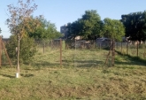 Terrenos - Villa Amelia - Venta