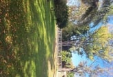 Casas - Funes - Venta