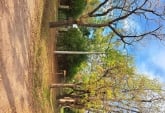 Casas - Funes - Venta