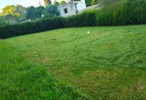 Terrenos - Oliveros - Venta