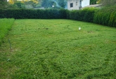 Terrenos - Oliveros - Venta