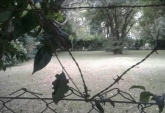 Terrenos - Oliveros - Venta