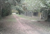 Terrenos - Oliveros - Venta